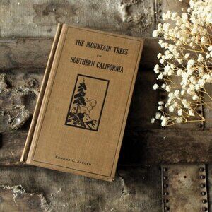 Vintage 1920s Book, "The Mountain Trees of Southern California" by Edmund Jaeger